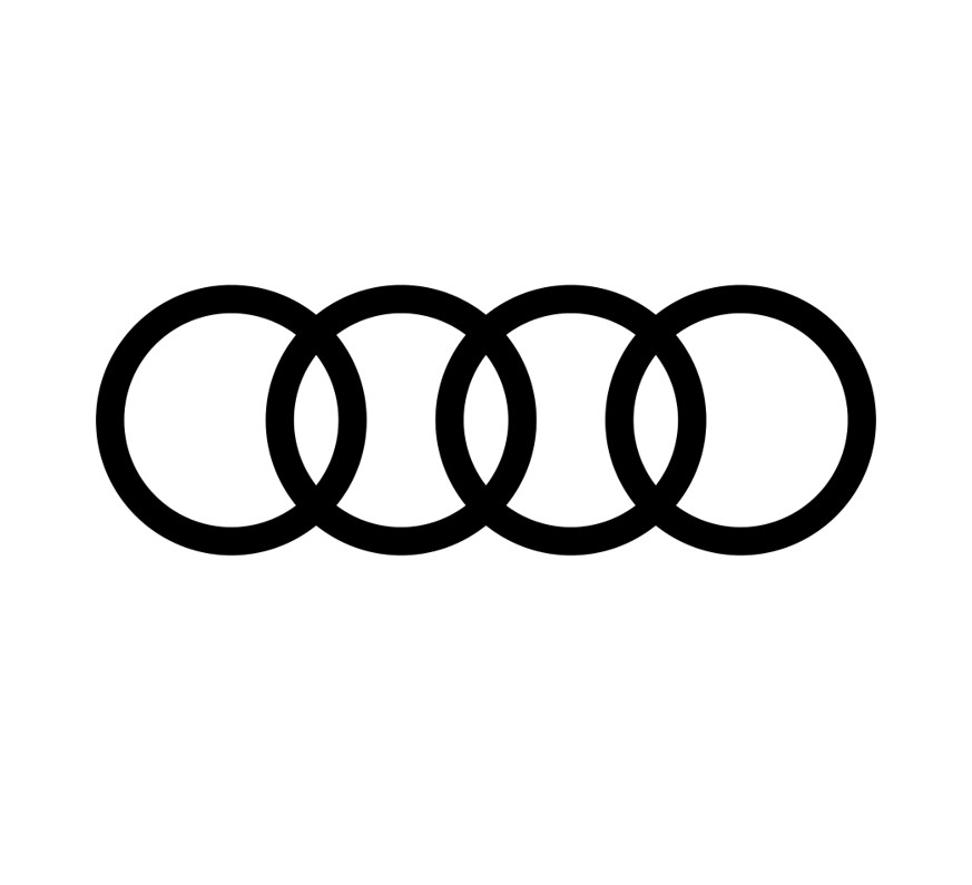 Webropol asiakastarinat Audi.